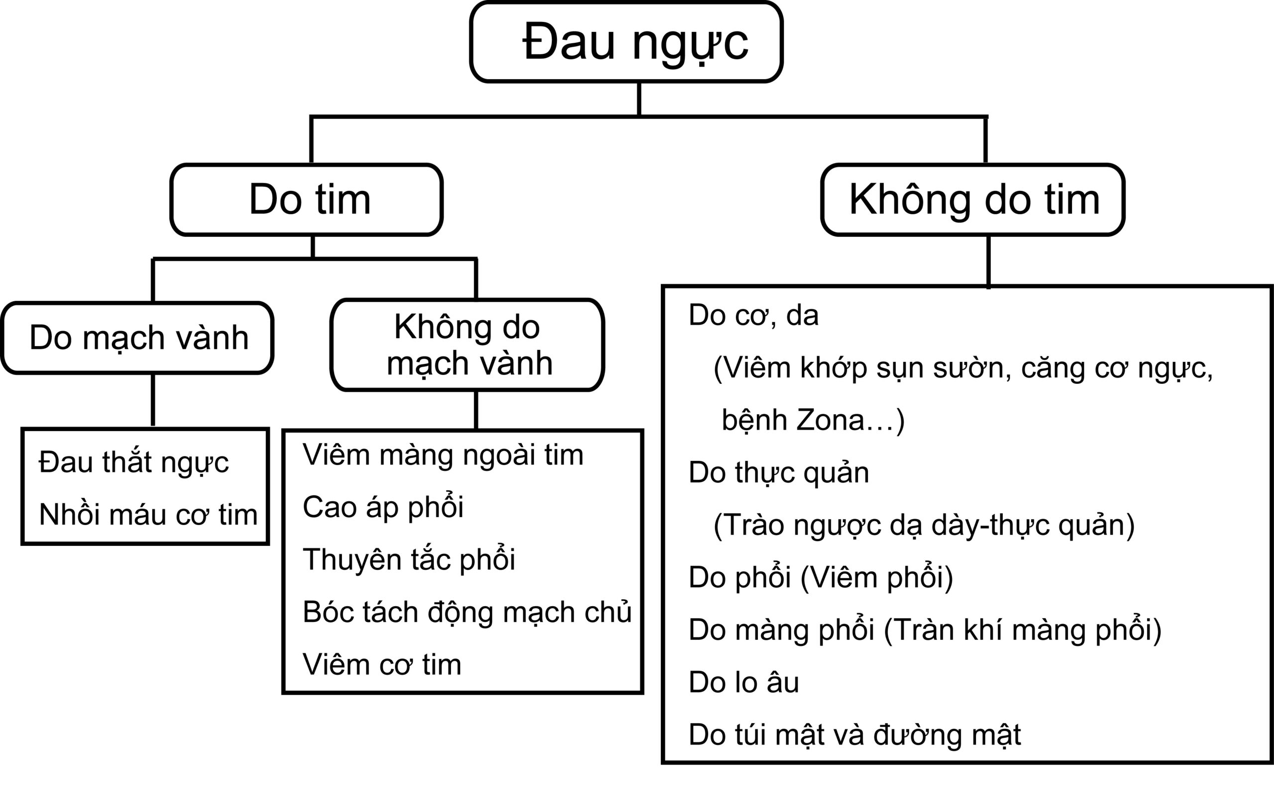 nguyên nhân đau ngực - Image 3
