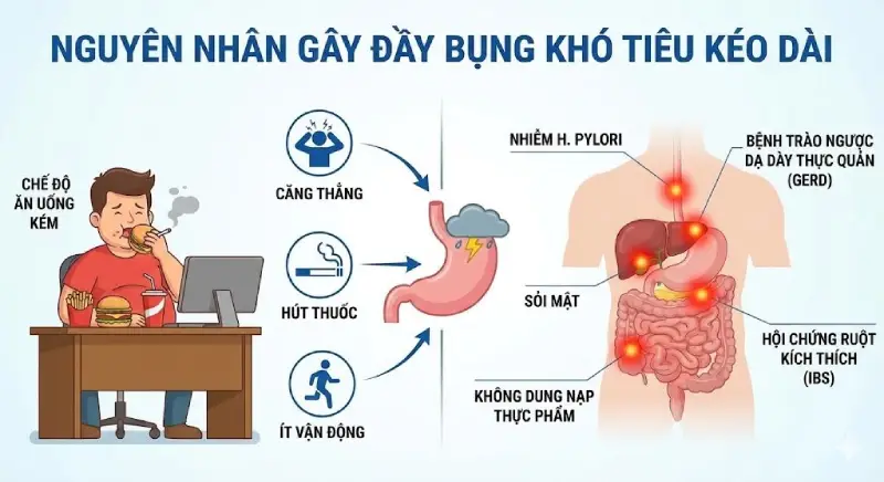 nguyên nhân đầy bụng - Image 5