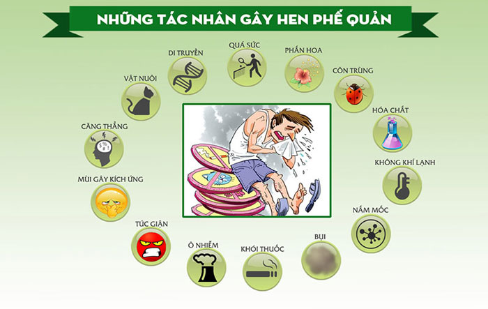 nguyên nhân hen phế quản - Image 2