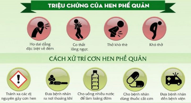 nguyên nhân hen phế quản - Image 3