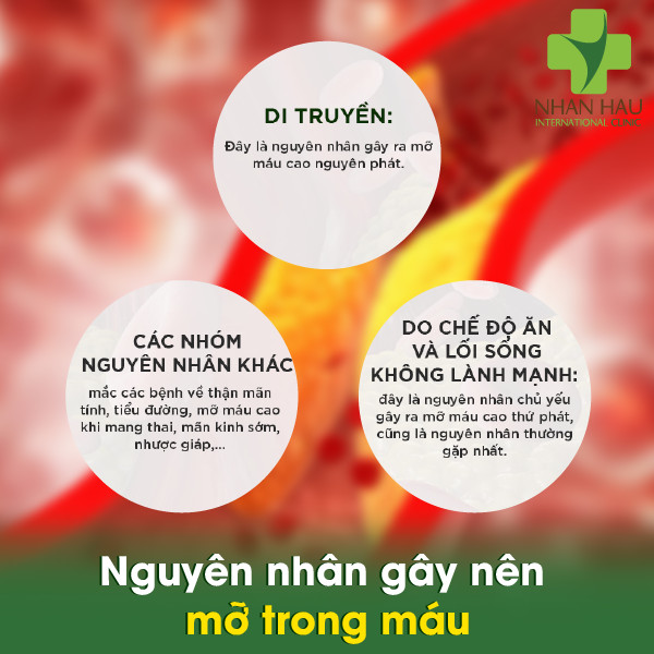 nguyên nhân mỡ máu cao - Image 2