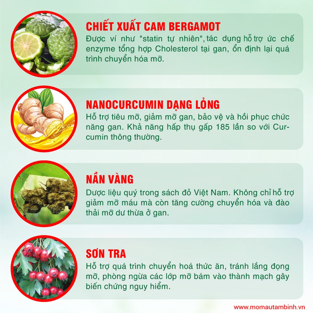 nguyên nhân mỡ máu cao - Image 5
