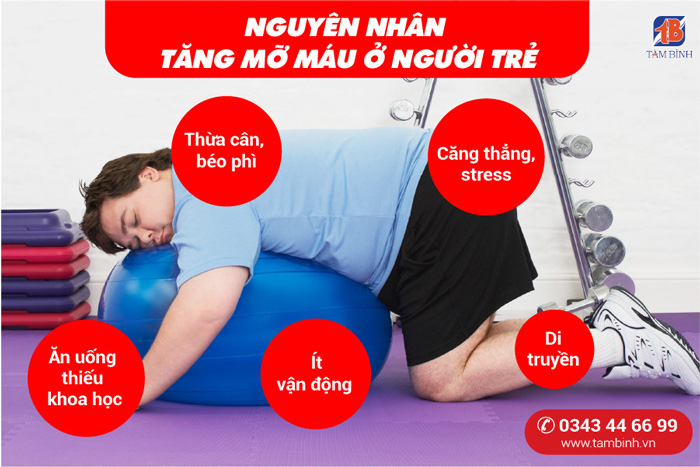 nguyên nhân mỡ máu cao