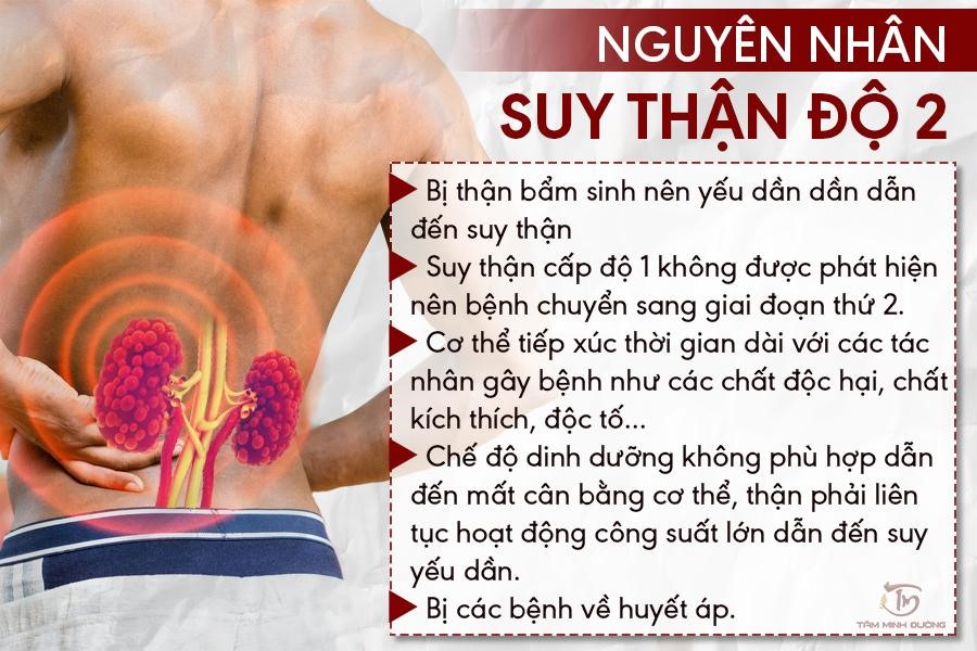 nguyên nhân suy thận - Image 2