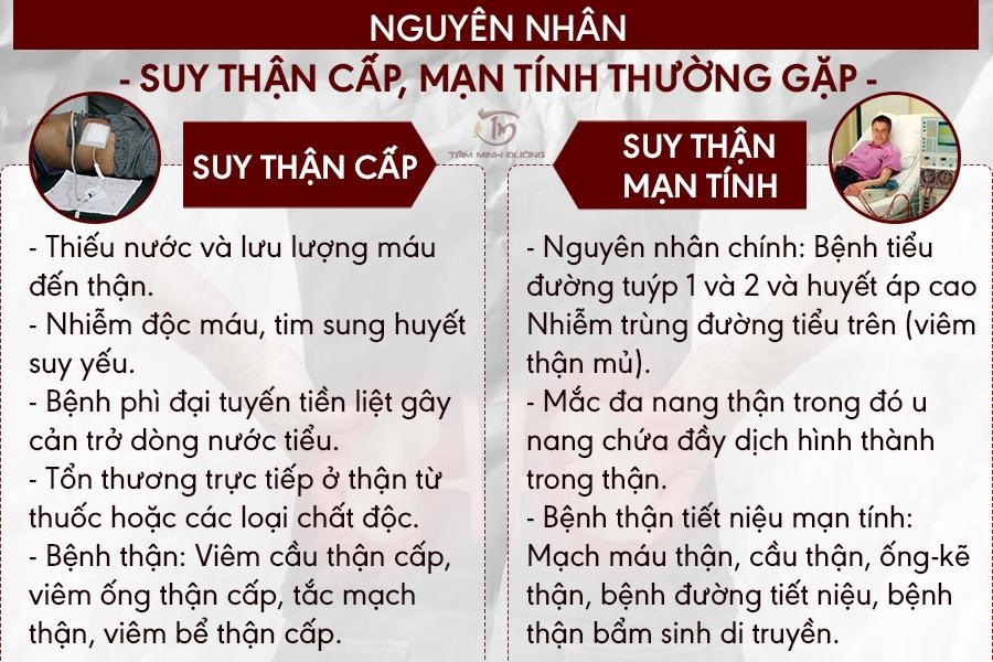 nguyên nhân suy thận - Image 4