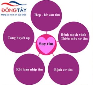 nguyên nhân suy tim