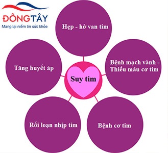 nguyên nhân suy tim