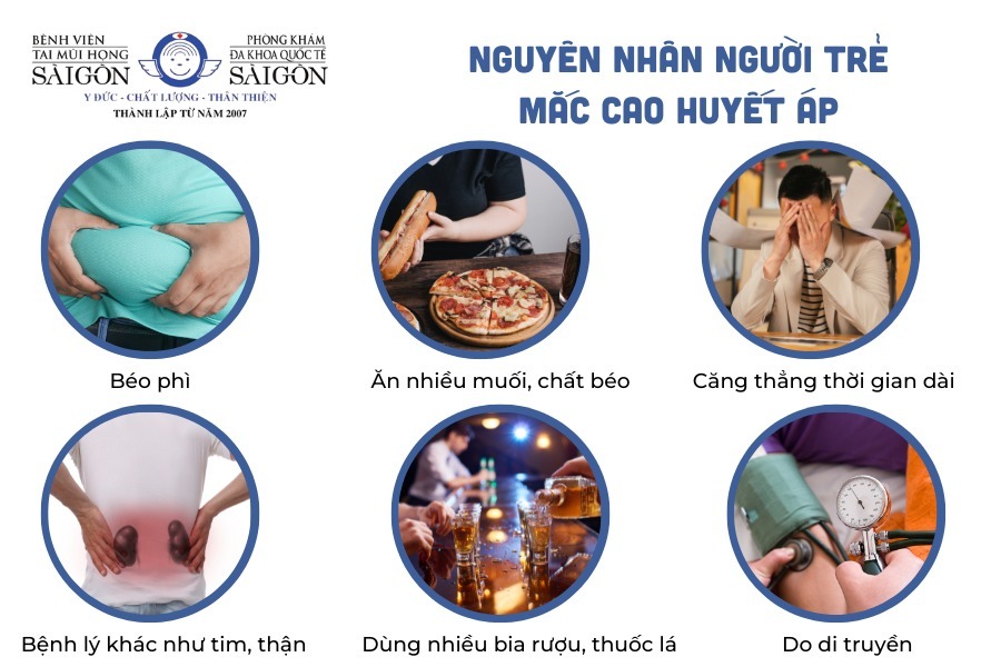 nguyên nhân tăng huyết áp - Image 2