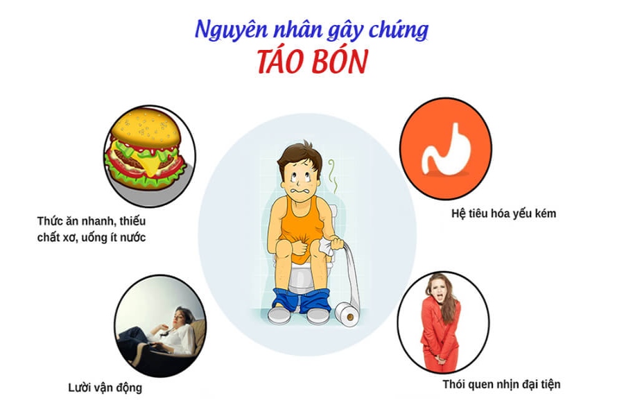 nguyên nhân táo bón - Image 5