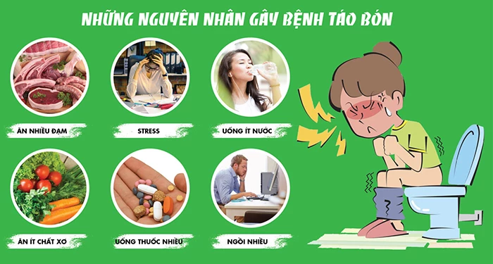 nguyên nhân táo bón