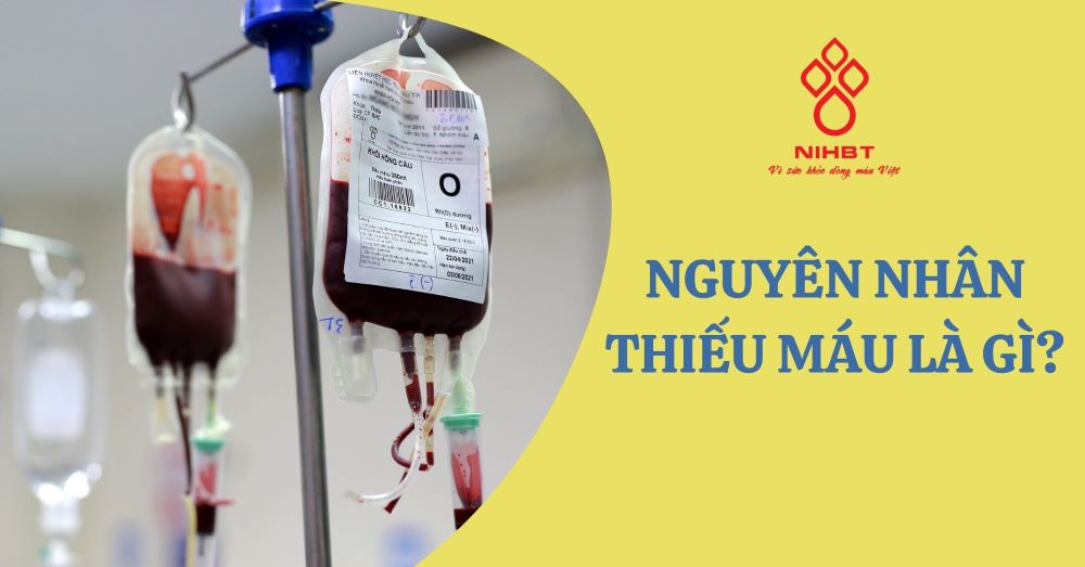 nguyên nhân thiếu máu - Image 4