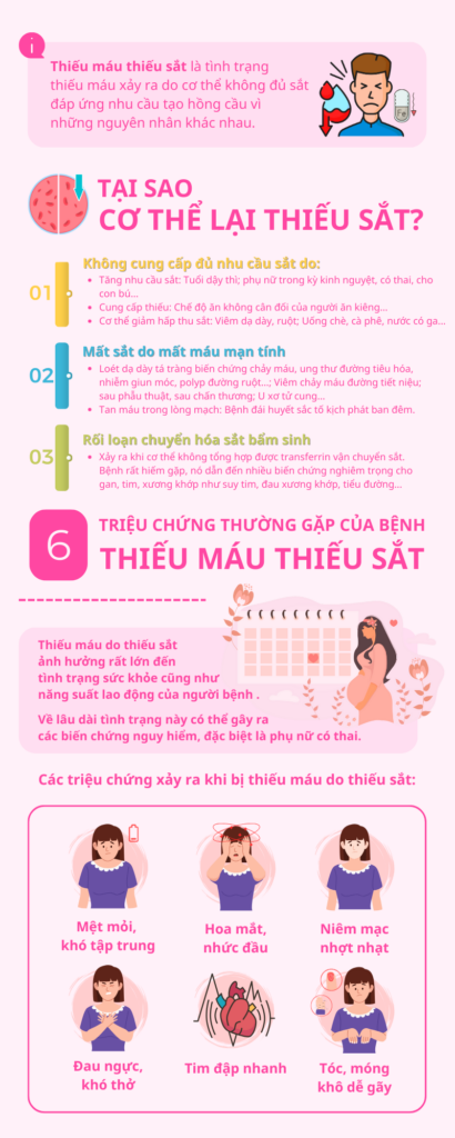 nguyên nhân thiếu máu