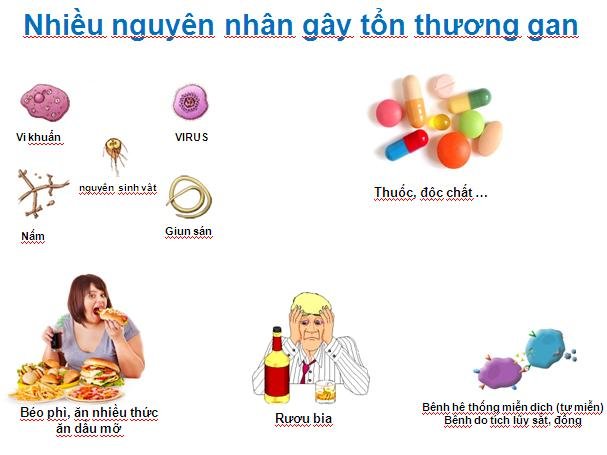 nguyên nhân viêm gan - Image 1