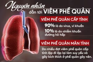 nguyên nhân viêm phế quản