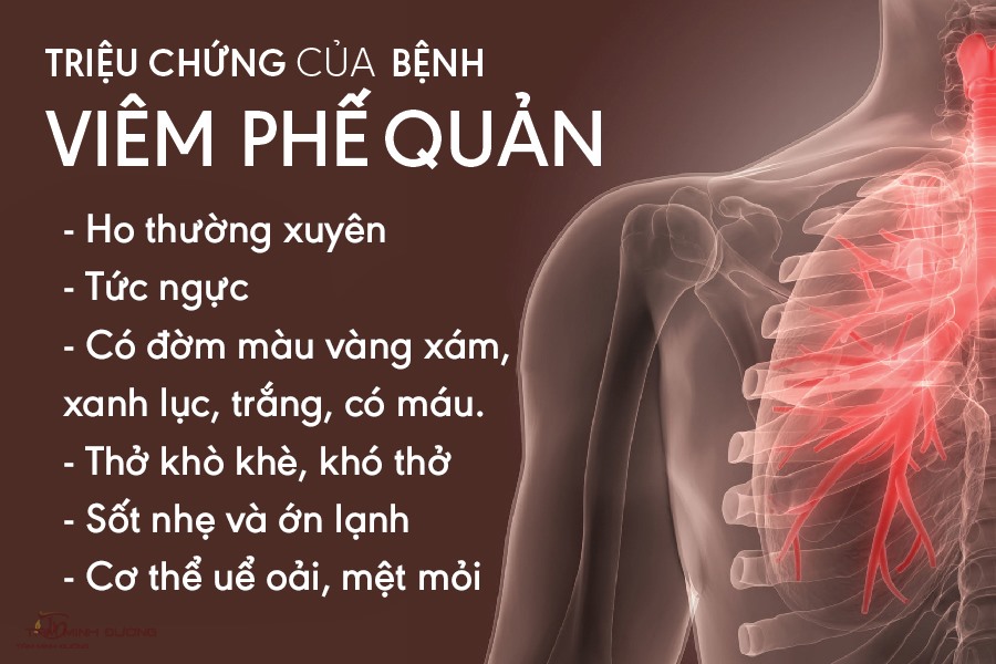 nguyên nhân viêm phế quản - Image 3