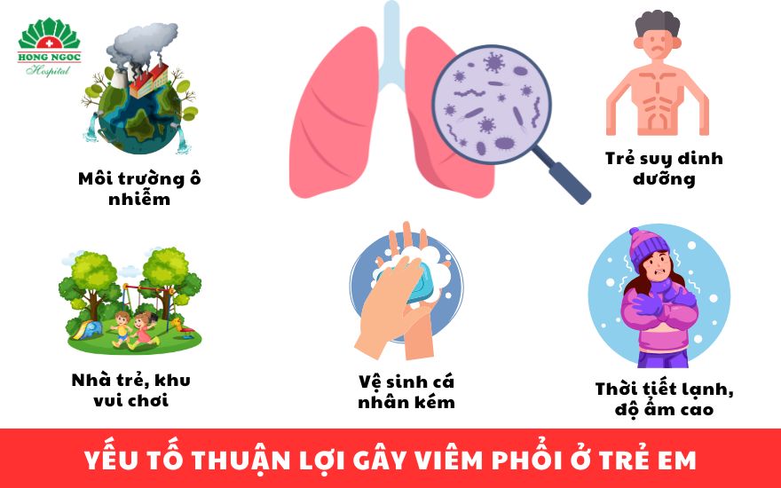 nguyên nhân viêm phổi - Image 3