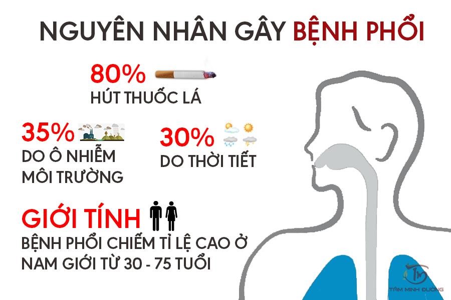 nguyên nhân viêm phổi - Image 5