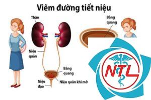 nhiễm khuẩn đường tiết niệu