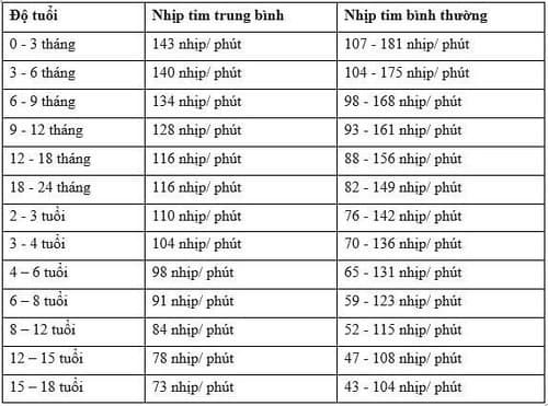 nhịp tim chậm ở người cao tuổi - Image 3