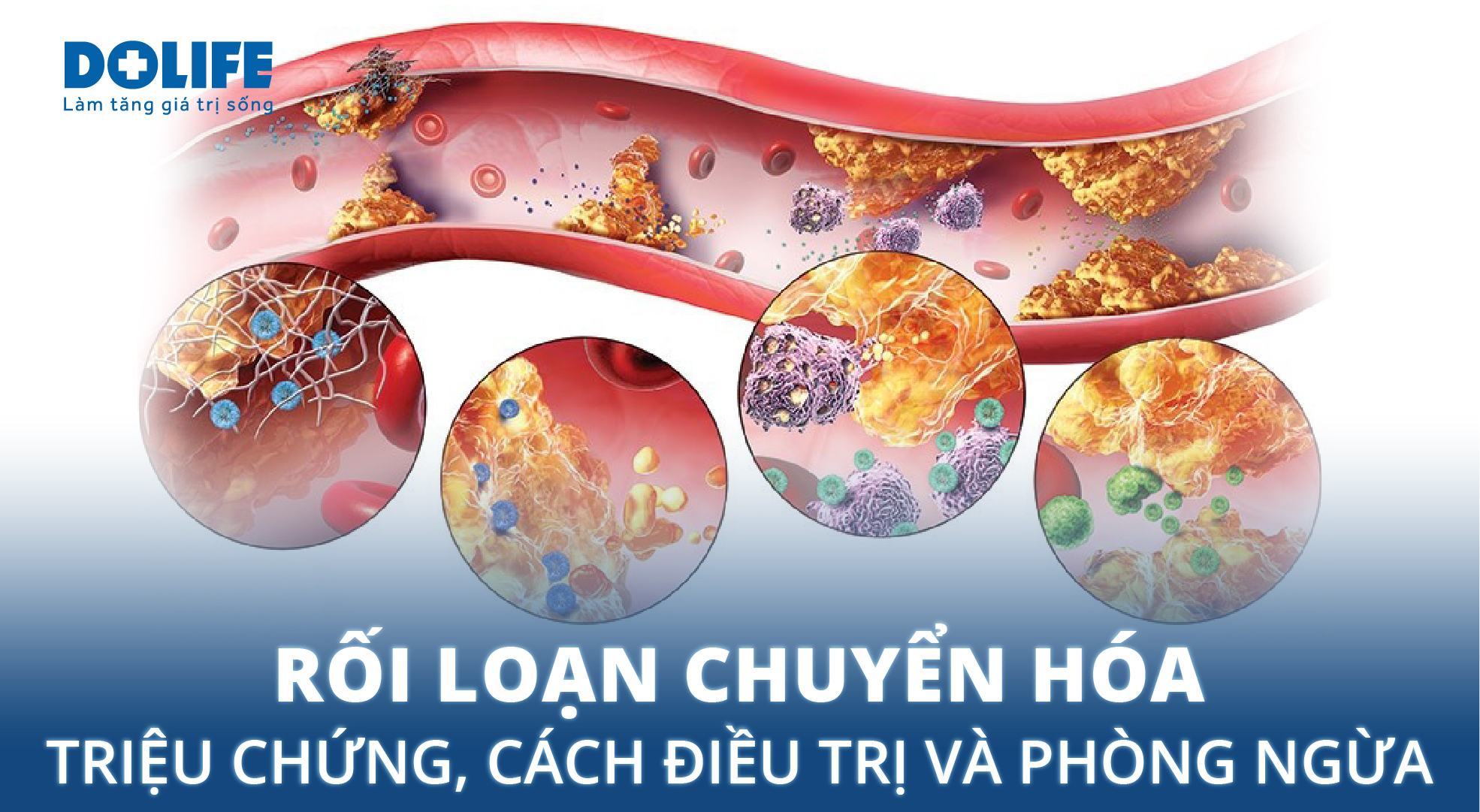 nội tổng hợp điều trị bệnh chuyển hóa - Image 2