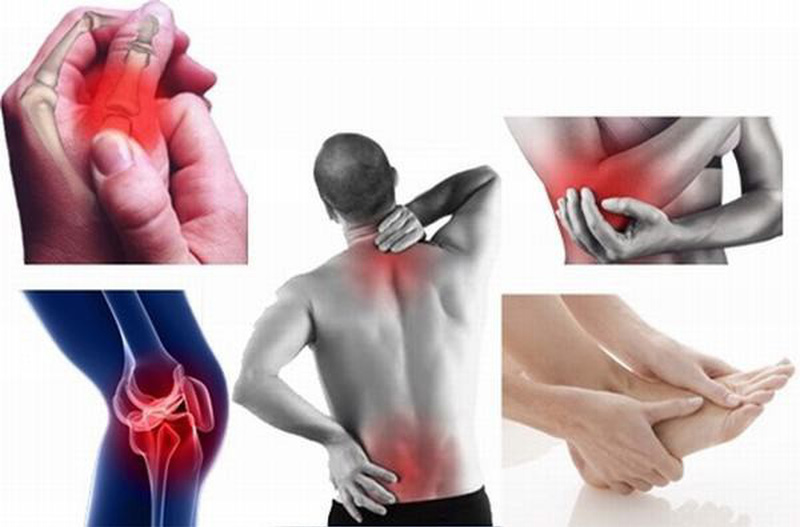 nội tổng hợp điều trị bệnh cơ xương khớp - Image 4