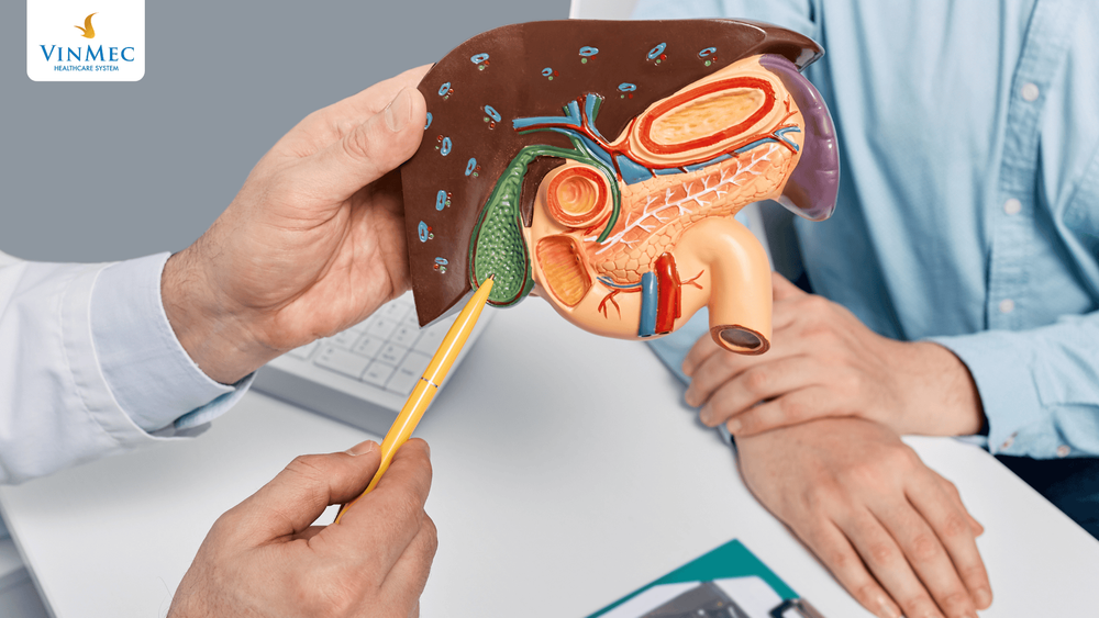 nội tổng hợp điều trị bệnh gan mật - Image 3