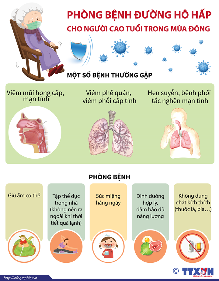 nội tổng hợp điều trị bệnh hô hấp - Image 3
