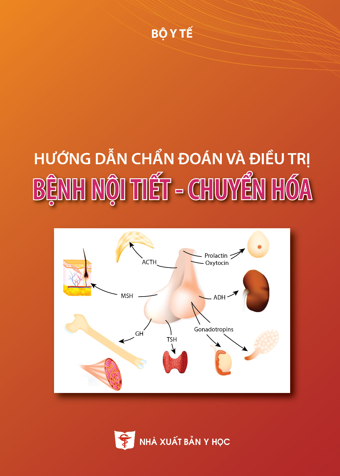 nội tổng hợp điều trị bệnh nội tiết - Image 4
