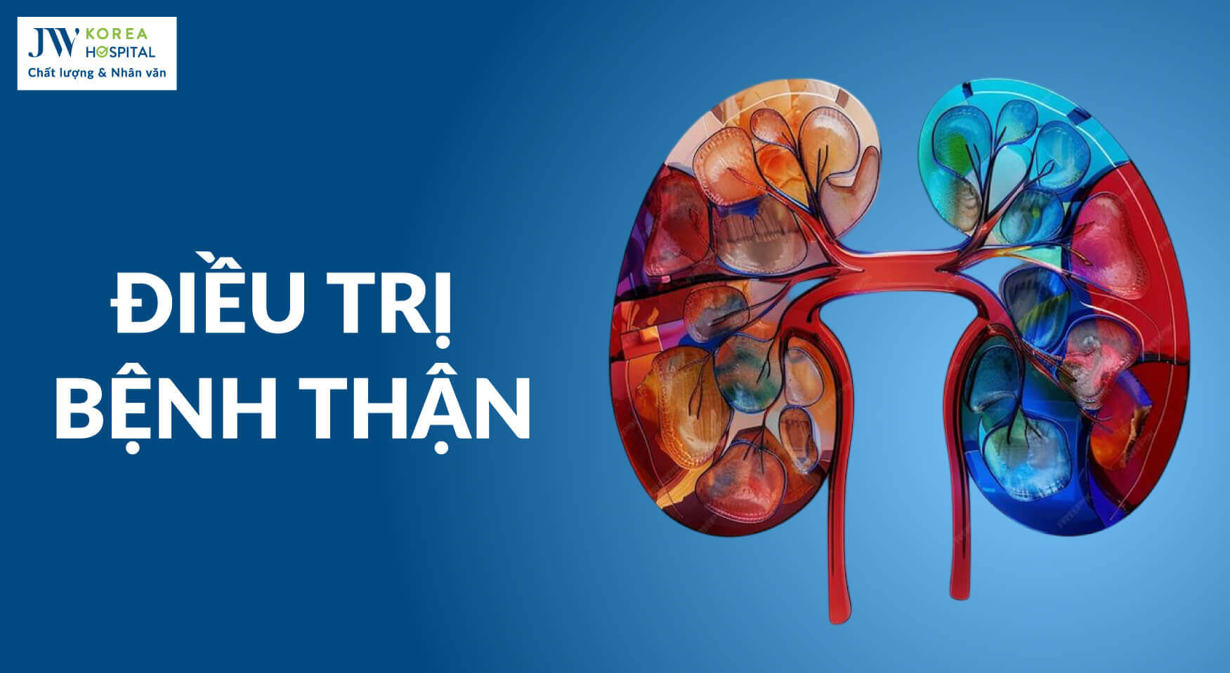 nội tổng hợp điều trị bệnh thận - Image 4
