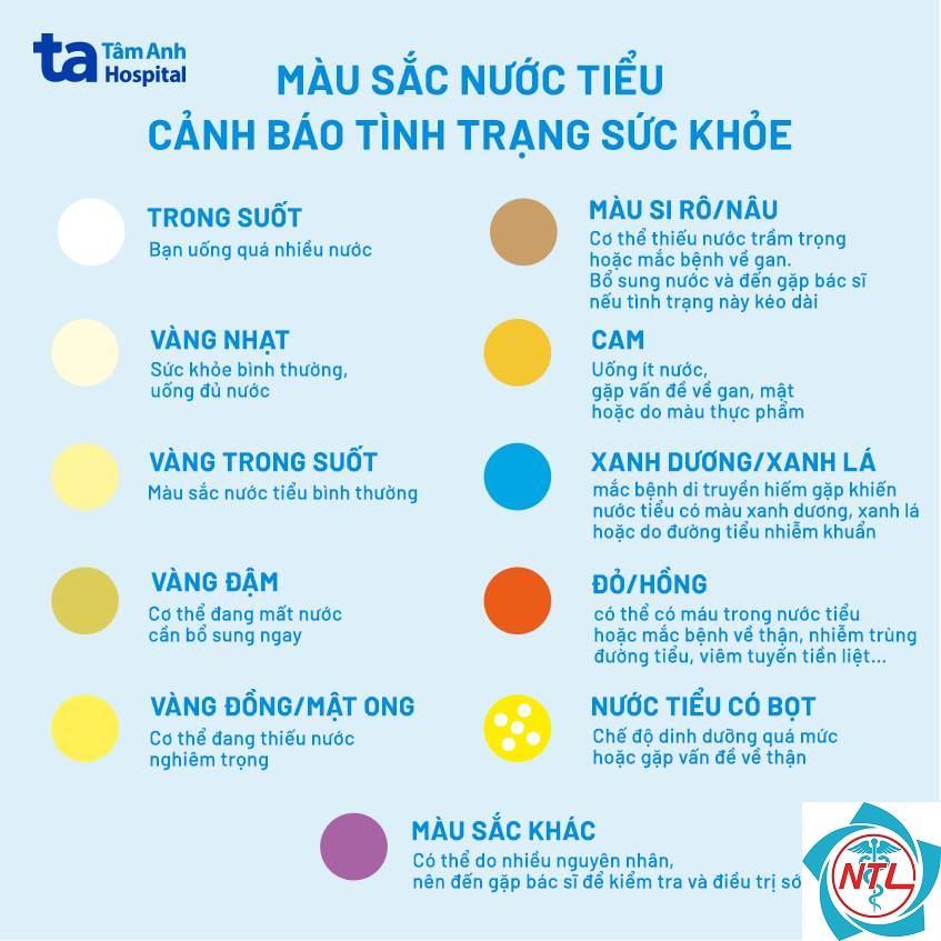 nước tiểu bất thường - Image 3