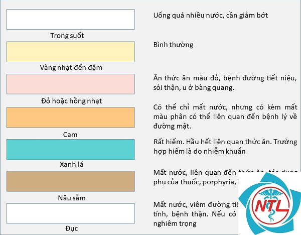 nước tiểu bất thường
