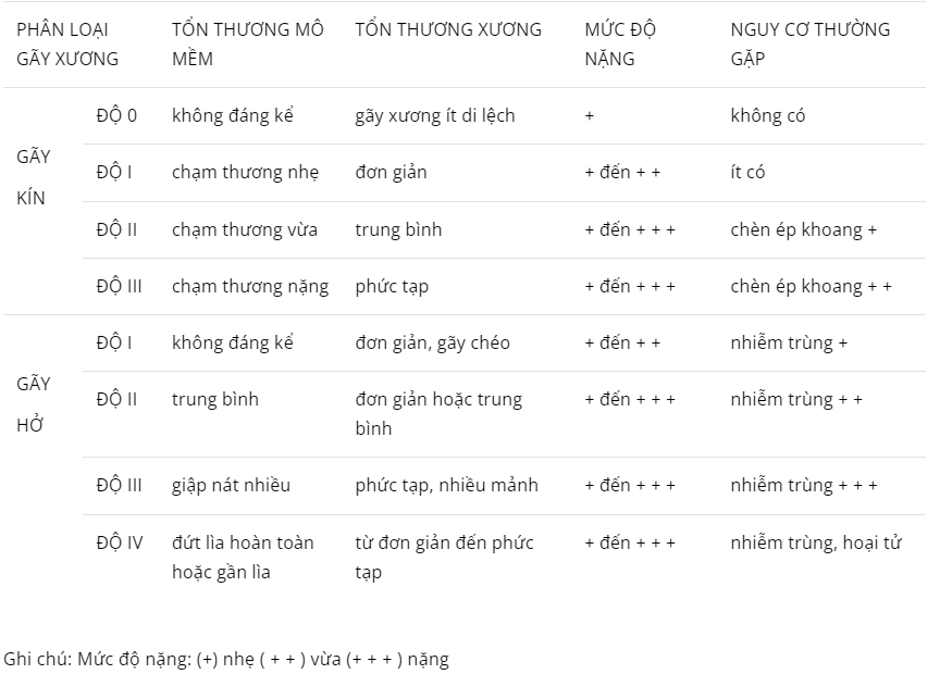 phân độ gãy xương kín - Image 2
