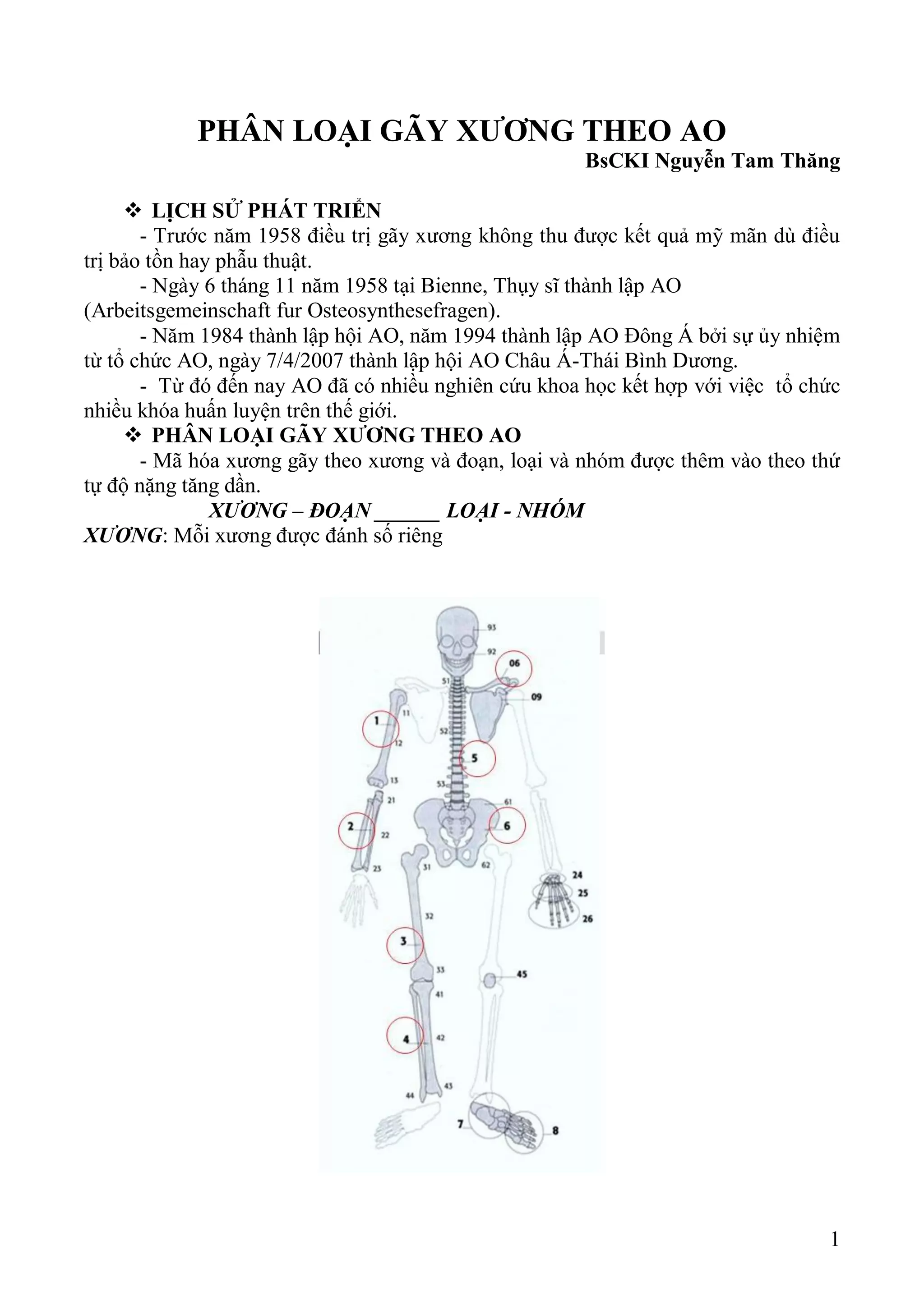 phân độ gãy xương kín - Image 3