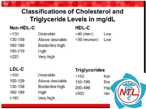 phân loại rối loạn lipid máu - Image 4
