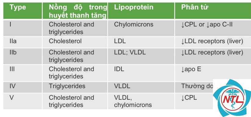 phân loại rối loạn lipid máu