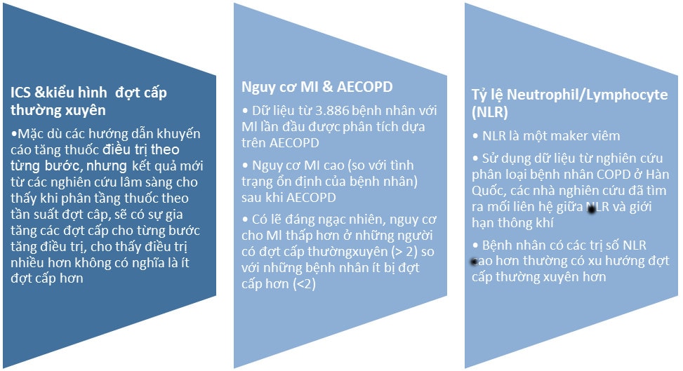 phòng ngừa đợt cấp copd - Image 2