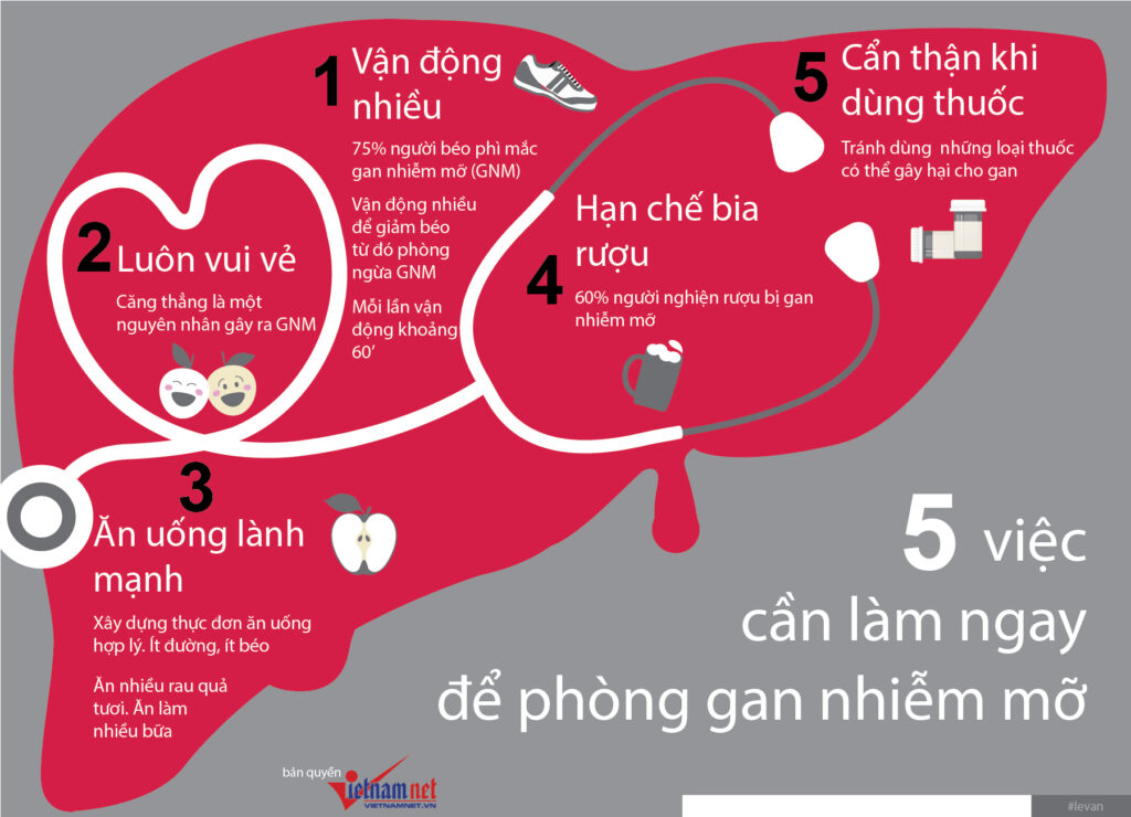 phòng ngừa gan nhiễm mỡ