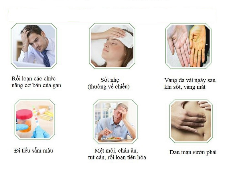 phòng ngừa gan nhiễm mỡ - Image 3