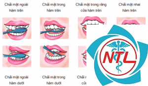 phương pháp đánh răng bass cải tiến