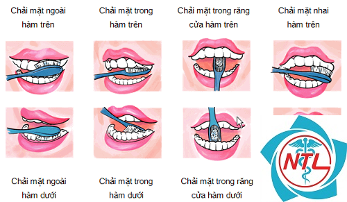 phương pháp đánh răng bass cải tiến