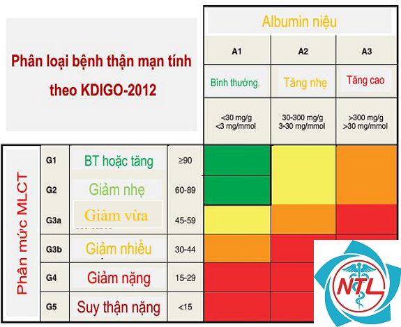 protein niệu do bệnh thận - Image 2