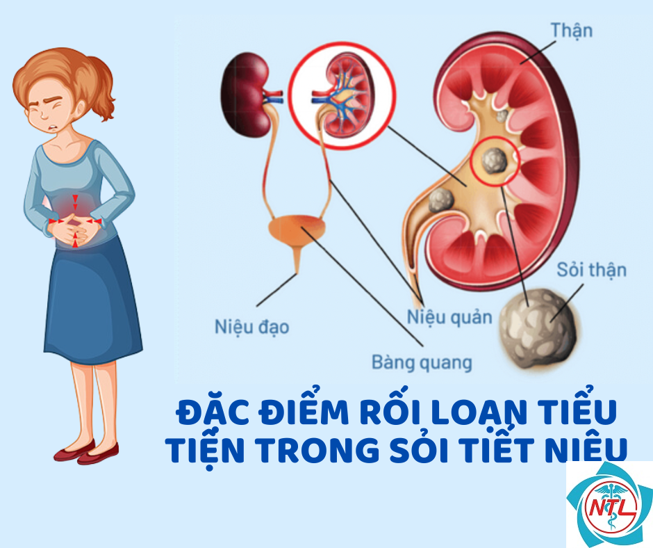 rối loạn chức năng đường tiết niệu - Image 5