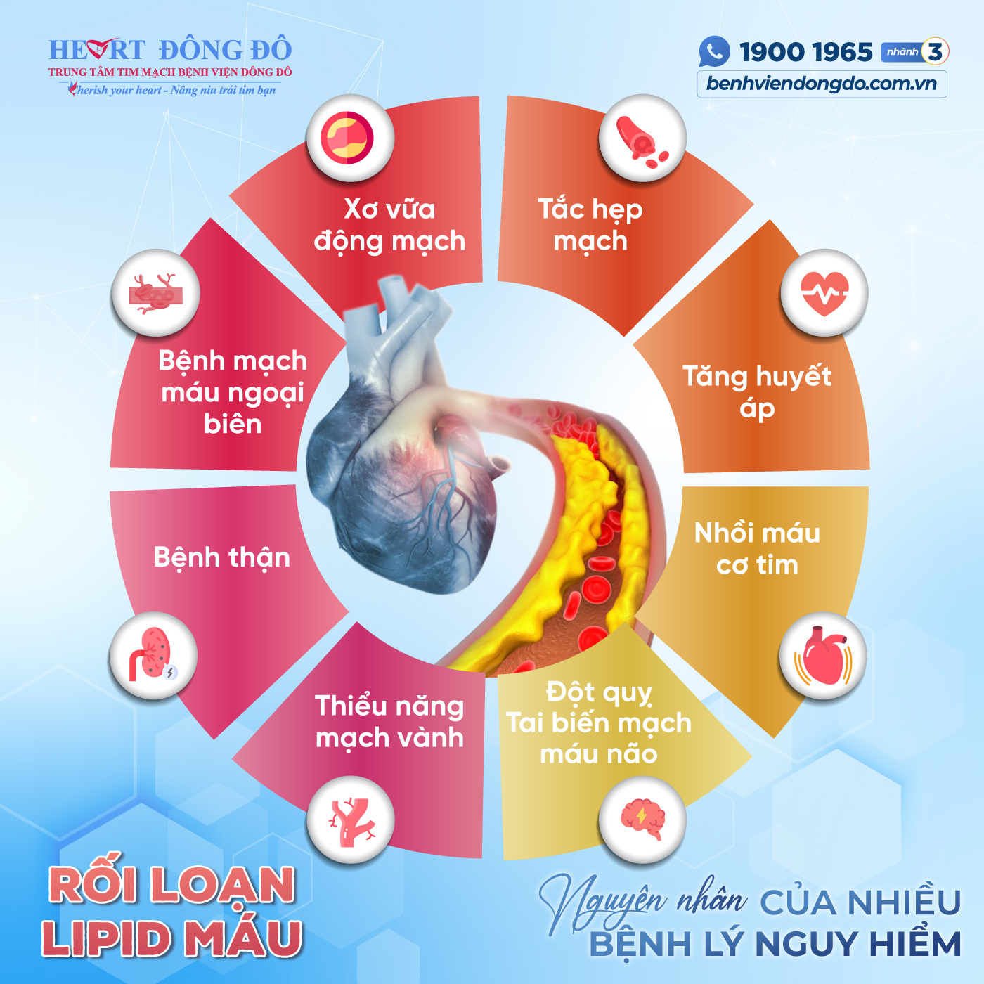 rối loạn lipid máu - Image 2