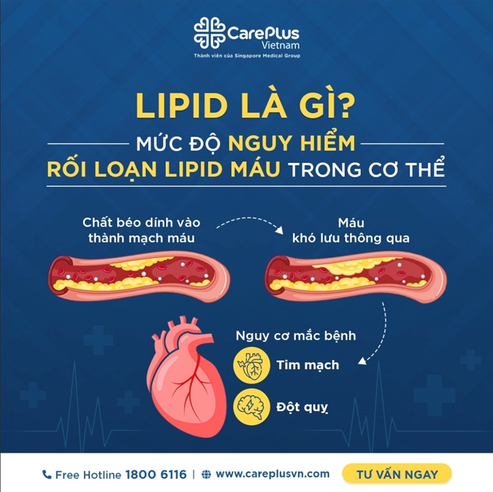 rối loạn lipid máu - Image 4