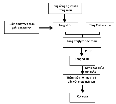 rối loạn lipid máu ở người tiểu đường - Image 3