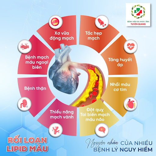 rối loạn mỡ máu - Image 4