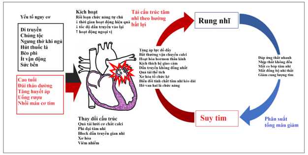 rung nhĩ kèm suy tim