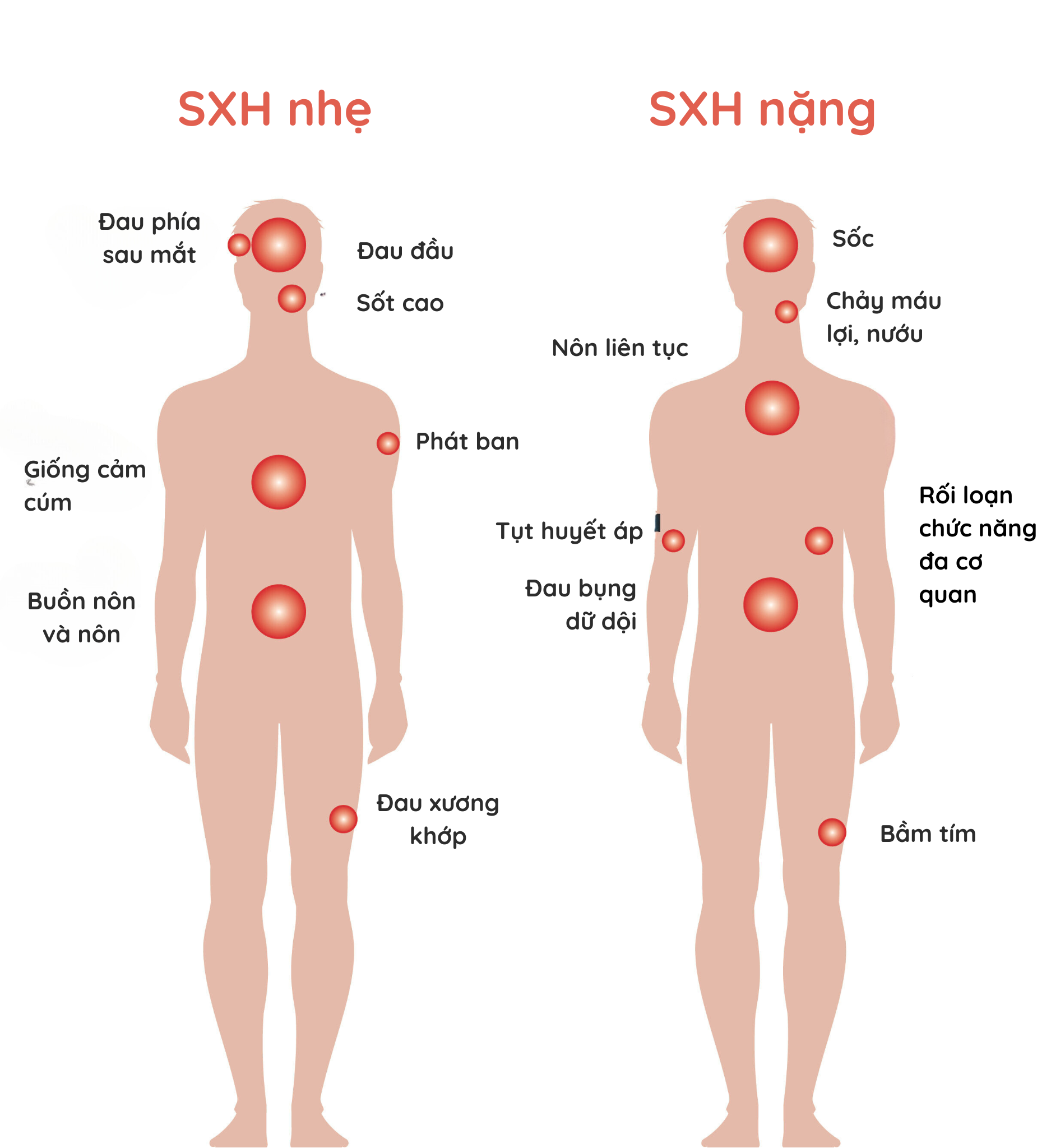 sốt là dấu hiệu bệnh gì - Image 5