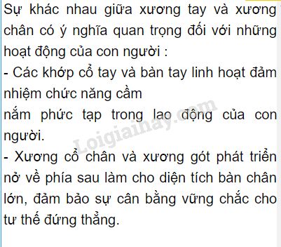 sự khác nhau giữa xương tay và chân - Image 3