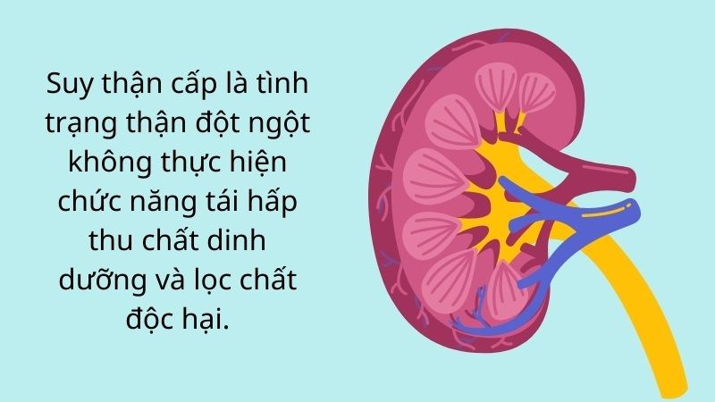 suy thận cấp là gì - Image 4